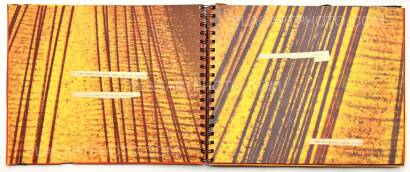 Robin Maddock,In filth it will be found (UNIQUE COPY) Robin Maddock,In filth it will be found (UNIQUE COPY)