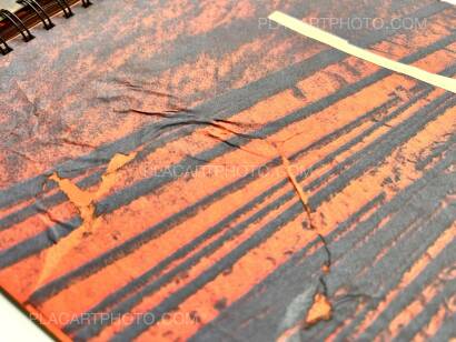 Robin Maddock,In filth it will be found (UNIQUE COPY) Robin Maddock,In filth it will be found (UNIQUE COPY)