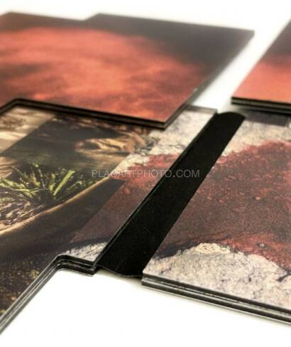 Gareth Phillips,Caligo. A photo sculpture book (EDT OF 20) Gareth Phillips,Caligo. A photo sculpture book (EDT OF 20)