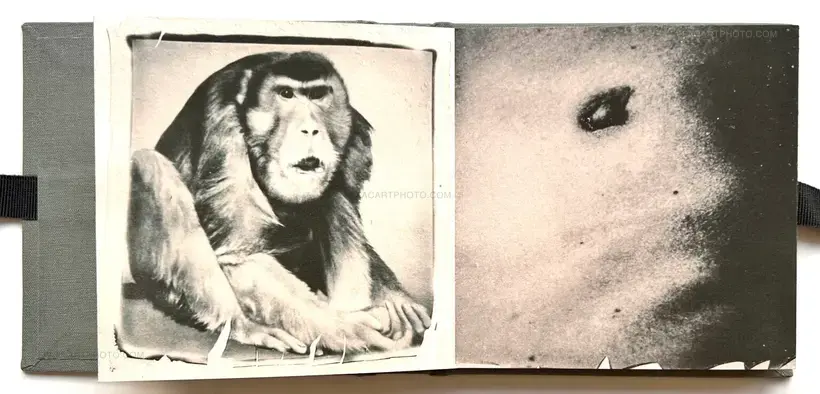 Hanna Hrabarska – Open to a lot (DUMMY EDT OF 8 copies. SIGNED)