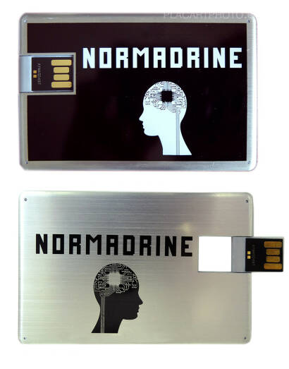 Véronique Bourgoin,NORMADRINE (Limited Edition /50) Véronique Bourgoin,NORMADRINE (Limited Edition /50)
