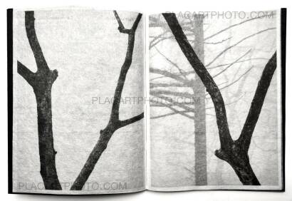 Kathleen Alisch,Conversations with trees (EDT OF 6) Kathleen Alisch,Conversations with trees (EDT OF 6)