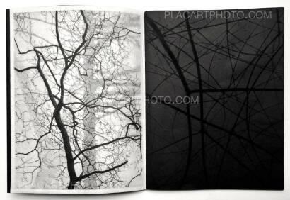 Kathleen Alisch,Conversations with trees (EDT OF 6) Kathleen Alisch,Conversations with trees (EDT OF 6)