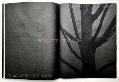 Kathleen Alisch,Conversations with trees (EDT OF 6)