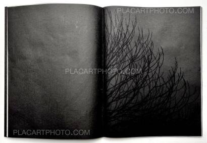 Kathleen Alisch,Conversations with trees (EDT OF 6) Kathleen Alisch,Conversations with trees (EDT OF 6)