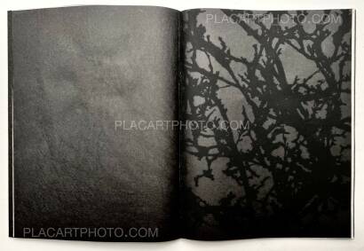 Kathleen Alisch,Conversations with trees (EDT OF 6) Kathleen Alisch,Conversations with trees (EDT OF 6)