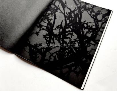 Kathleen Alisch,Conversations with trees (EDT OF 6) Kathleen Alisch,Conversations with trees (EDT OF 6)