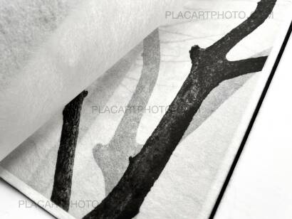 Kathleen Alisch,Conversations with trees (EDT OF 6) Kathleen Alisch,Conversations with trees (EDT OF 6)