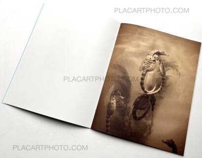 Regina Anzenberger,The Australian Journey (EDT OF 300) Regina Anzenberger,The Australian Journey (EDT OF 300)