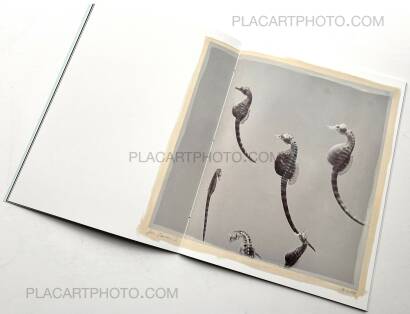 Regina Anzenberger,The Australian Journey (EDT OF 300) Regina Anzenberger,The Australian Journey (EDT OF 300)