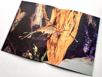 Regina Anzenberger,The Australian Journey (EDT OF 300) Regina Anzenberger,The Australian Journey (EDT OF 300)