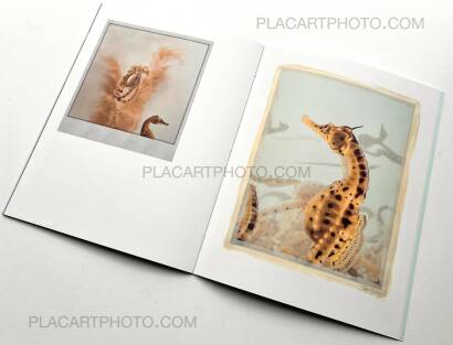 Regina Anzenberger,The Australian Journey (EDT OF 300) Regina Anzenberger,The Australian Journey (EDT OF 300)