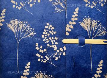 Veronica Mecchia,Great flowers (EDT of 50) Veronica Mecchia,Great flowers (EDT of 50)