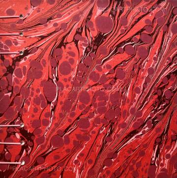 Veronica Mecchia,AMOUR TU DOIS REVENIR (« You have to come back, love ») (EDT OF 50)