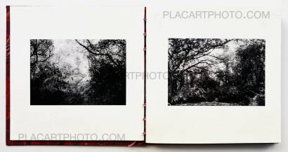 Veronica Mecchia,AMOUR TU DOIS REVENIR (« You have to come back, love ») (EDT OF 50)