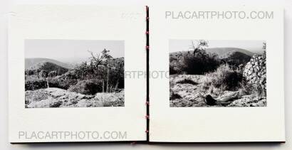 Veronica Mecchia,AMOUR TU DOIS REVENIR (« You have to come back, love ») (EDT OF 50)