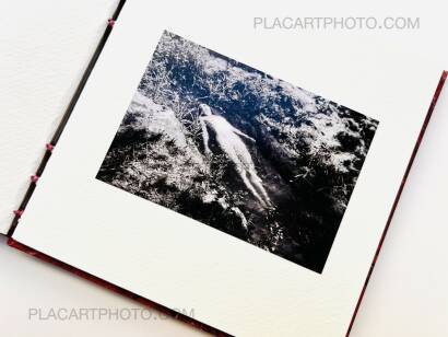 Veronica Mecchia,AMOUR TU DOIS REVENIR (« You have to come back, love ») (EDT OF 50)