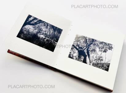 Veronica Mecchia,AMOUR TU DOIS REVENIR (« You have to come back, love ») (EDT OF 50)