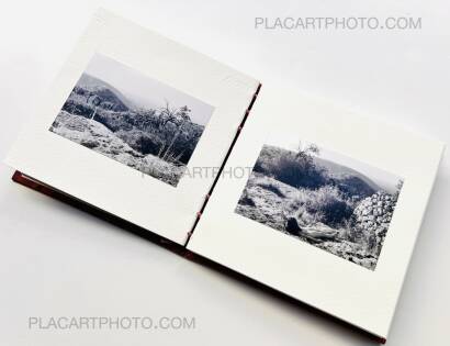 Veronica Mecchia,AMOUR TU DOIS REVENIR (« You have to come back, love ») (EDT OF 50)