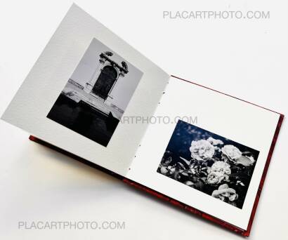 Veronica Mecchia,AMOUR TU DOIS REVENIR (« You have to come back, love ») (EDT OF 50)