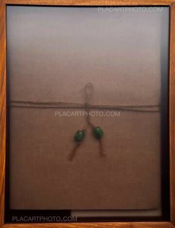 Yangzi Qiu,Cloud and Stone book collection No 12 (EDT OF 100) Yangzi Qiu,Cloud and Stone book collection No 12 (EDT OF 100)