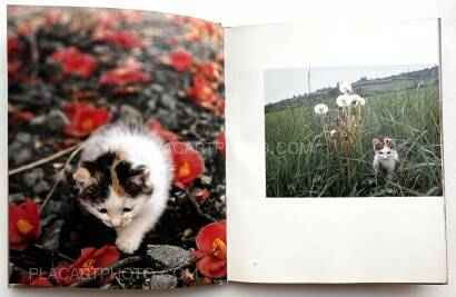 Masahisa Fukase,Neko no mugiwara boshi / The Strawhat Cat (Signed)
