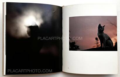 Masahisa Fukase,Neko no mugiwara boshi / The Strawhat Cat (Signed)