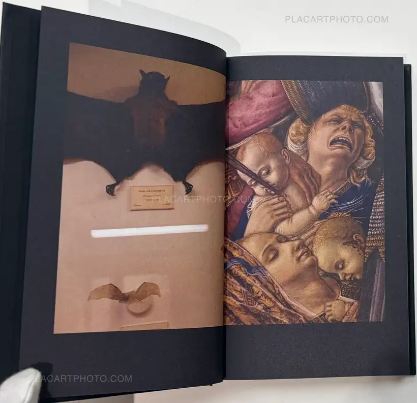 Boris Mikhailov – "...in search of window of Opportunity / Exodus..."