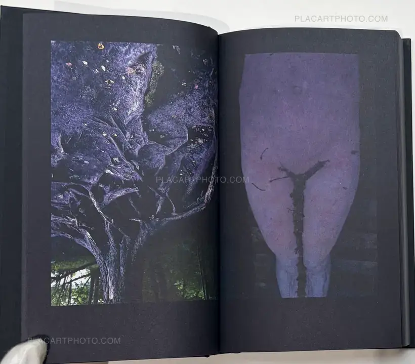 Boris Mikhailov – "...in search of window of Opportunity / Exodus..."