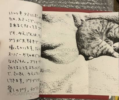 Various photographers,Root 3 Vol 6