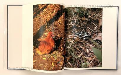 Takuma Nakahira,Hysteric Six