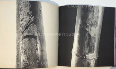 Various photographers,Hiroshima-Nagasaki Document 1961