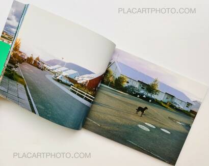 Takashi Homma,Hyper Ballad: Icelandic Suburban Landscapes