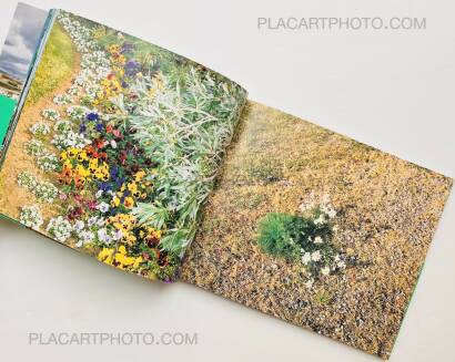 Takashi Homma,Hyper Ballad: Icelandic Suburban Landscapes