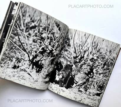 Masahisa Fukase,Sasuke !! Itoshiki neko yo / Sasuke !! My dear cat