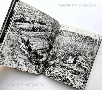 Masahisa Fukase,Sasuke !! Itoshiki neko yo / Sasuke !! My dear cat