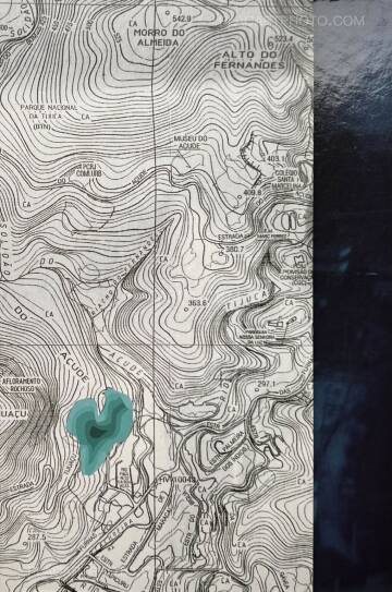 Cristina de Middel,Sharkification (SPECIAL EDT WITH A PRINT)