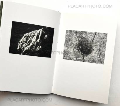 M&aring;rten Lange,ANOTHER LANGUAGE