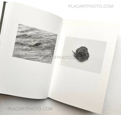 M&aring;rten Lange,ANOTHER LANGUAGE