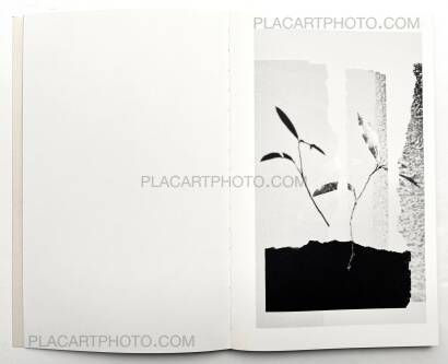 Paul Cupido,AMAZONIA