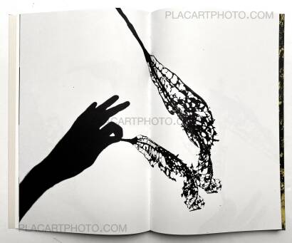 Paul Cupido,AMAZONIA