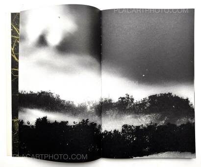 Paul Cupido,AMAZONIA