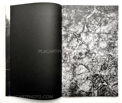 Paul Cupido,AMAZONIA