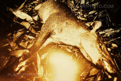 Claudia Andujar,&lsquo;Genoc&iacute;dio do Yanomami&rsquo; (PRE ORDER)