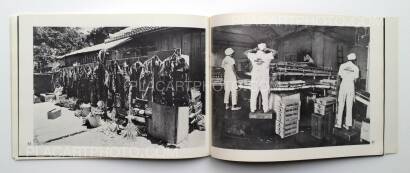Collective,Okinawa Collective,Okinawa