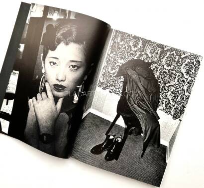 Daido Moriyama,Memories of a Dog