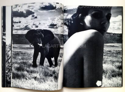 Masaya Nakamura,Ema Nude In Africa Masaya Nakamura,Ema Nude In Africa